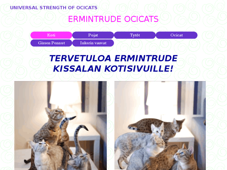 www.ermintrudeocicats.com