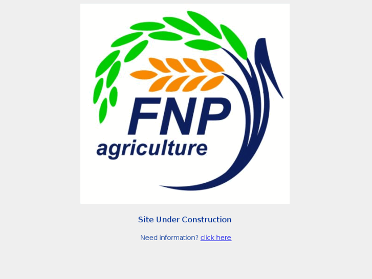 www.fnp-group.com