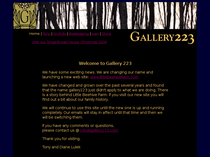 www.gallery223.com