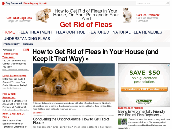 www.getridof-fleas.com