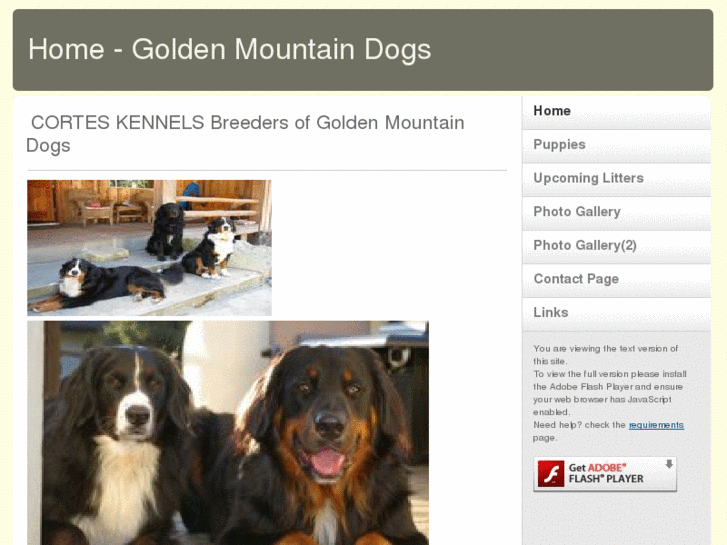 www.goldenmountaindogs.com