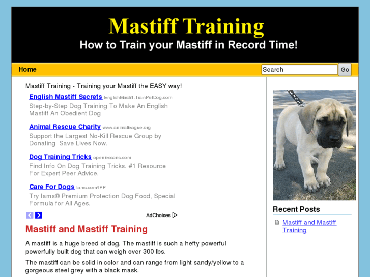 www.mastifftraining.com