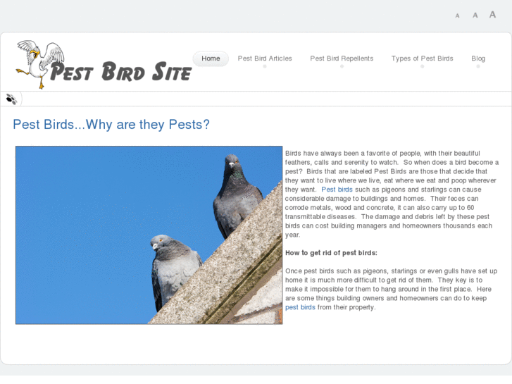 www.pestbirdsite.com