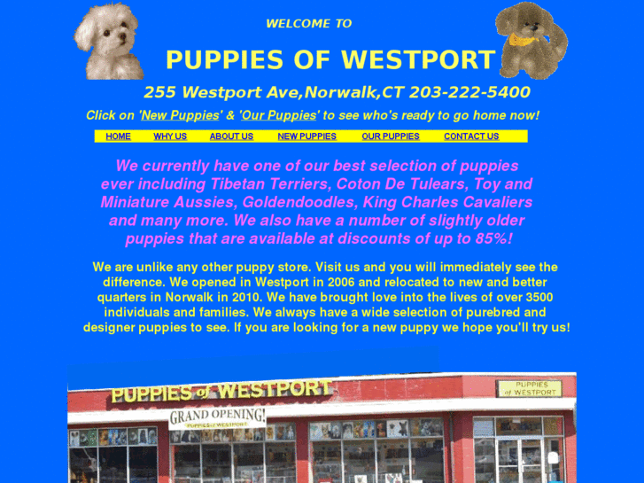 www.puppiesofwestport.com