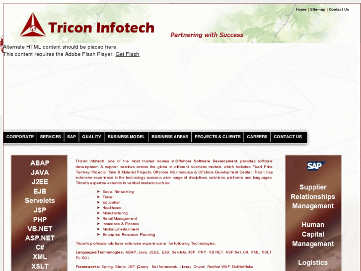 www.triconinfotech.com