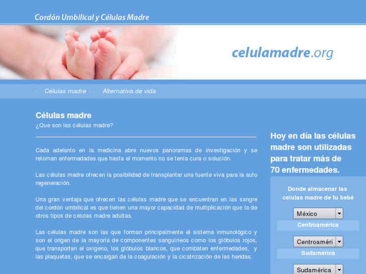 www.celulamadre.org