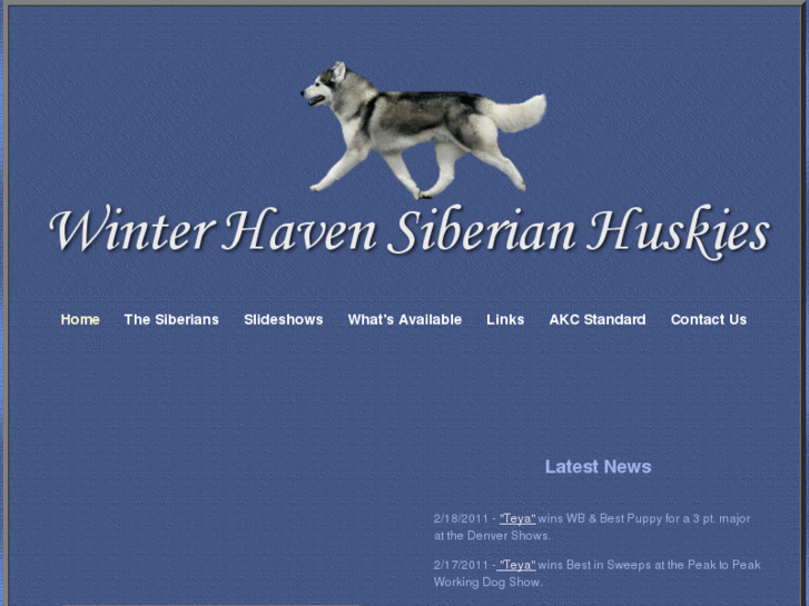 www.winterhavensiberians.com