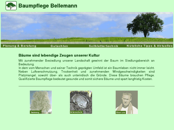 www.baumpflegebellemann.com