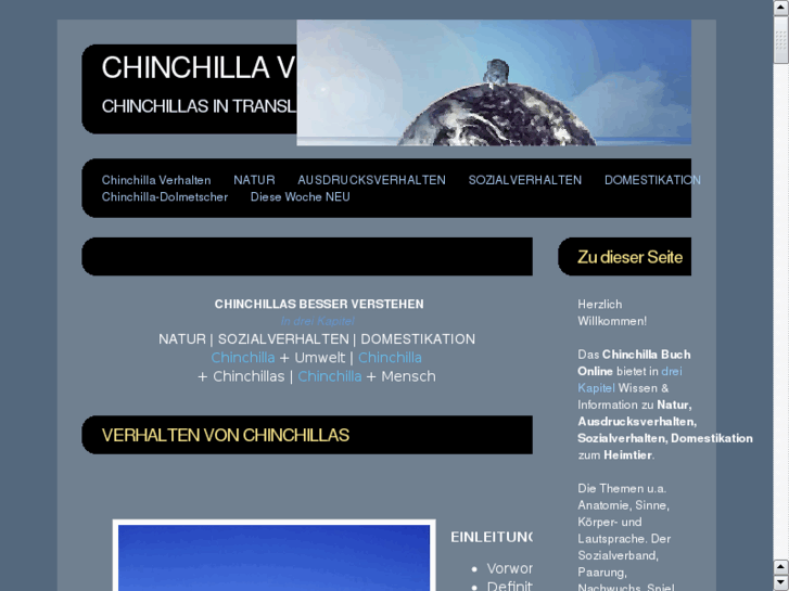 www.chinchilla-verhalten.de