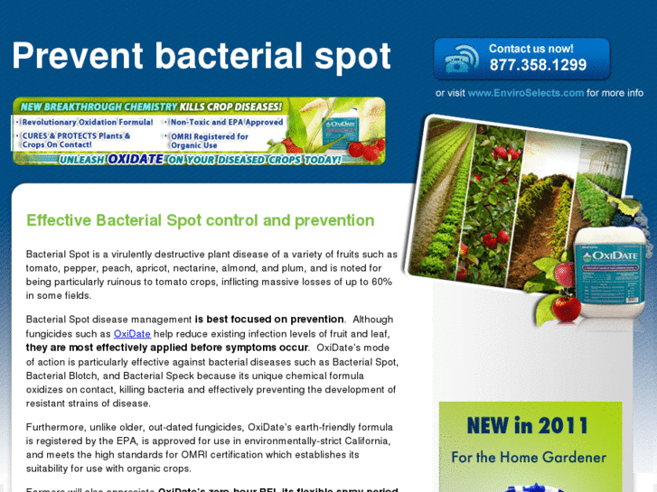 www.controlbacterialspot.info