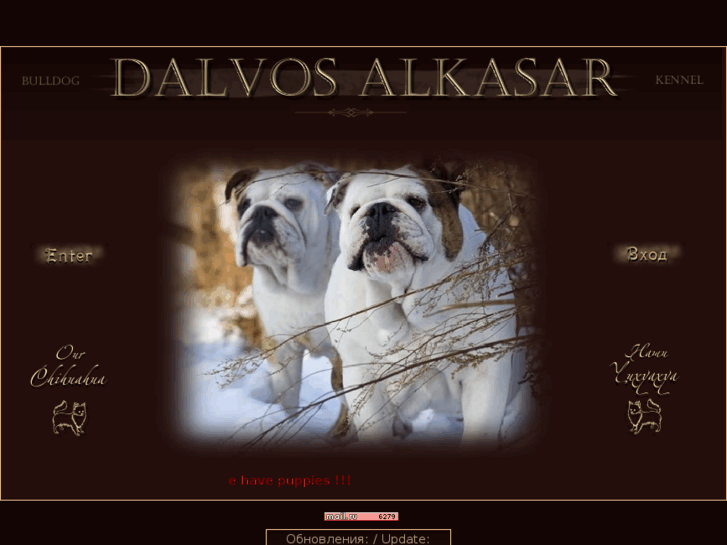 www.dalvosalkasar.com