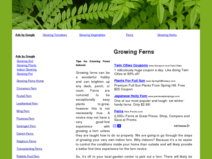 www.growingferns.com