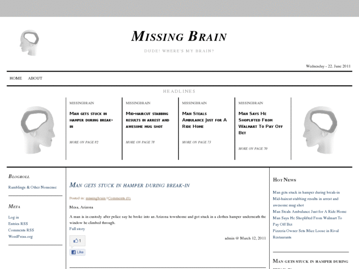 www.missingbrain.com