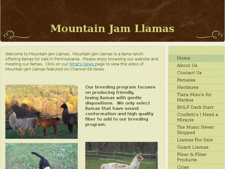 www.mountainjamllamas.com