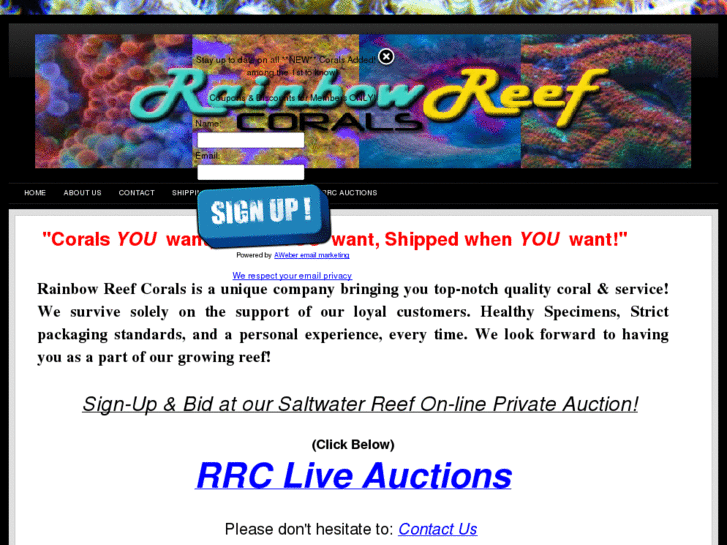 www.rainbowreefcoral.com