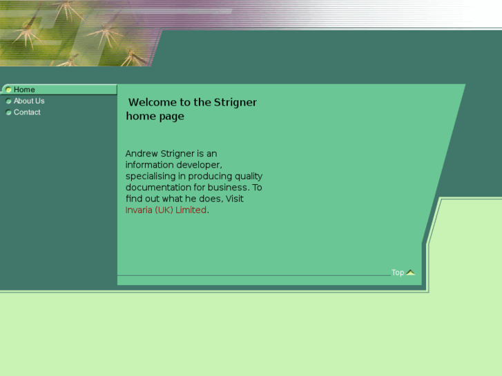 www.strigner.com