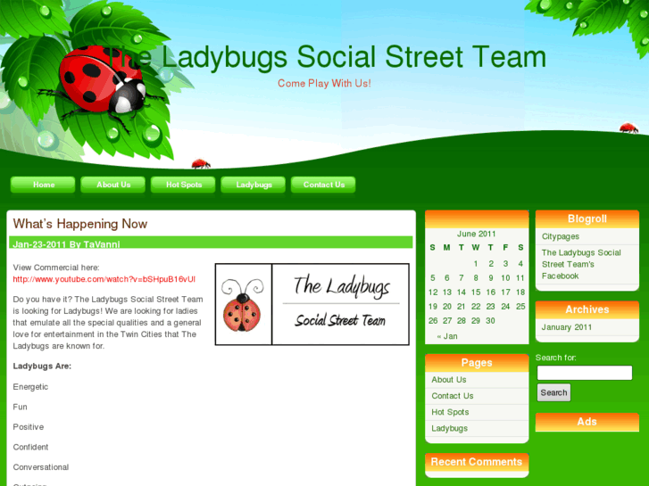 www.tcladybugs.com