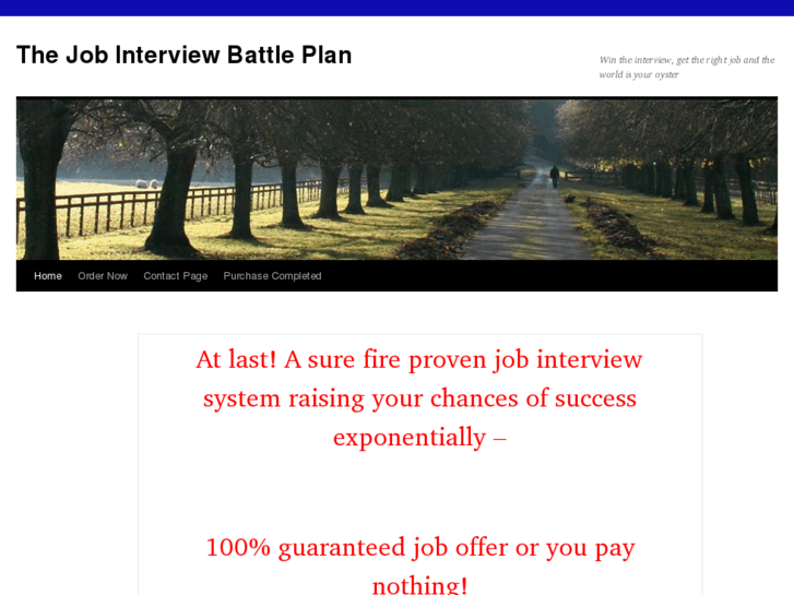 www.jobinterviewbattleplan.com