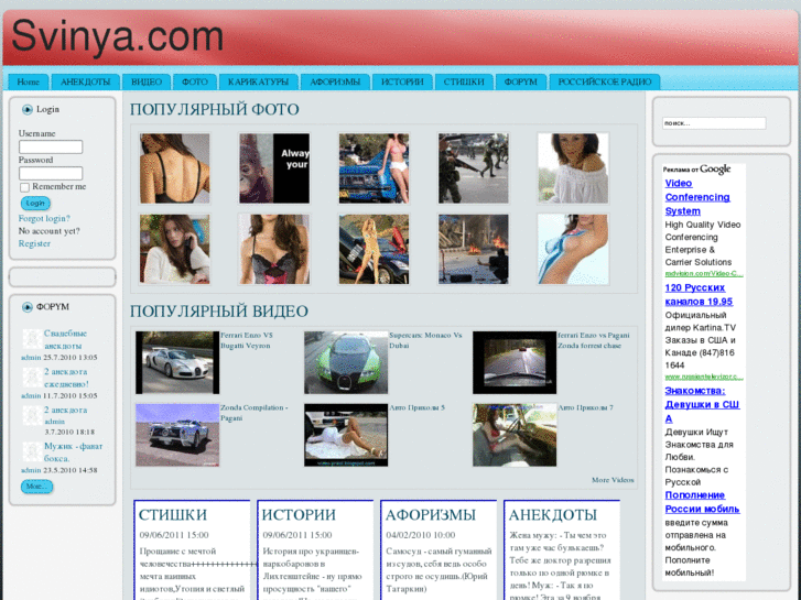 www.svinya.com