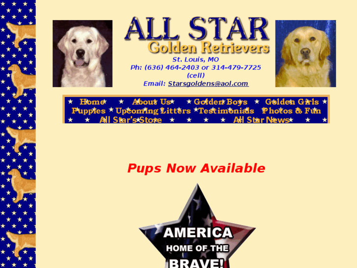 www.all-star-golden-retrievers.com