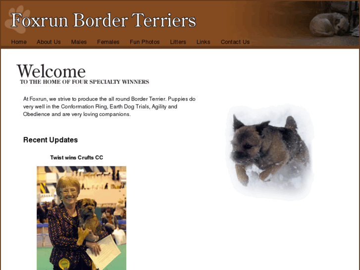 www.foxrun-borderterriers.com