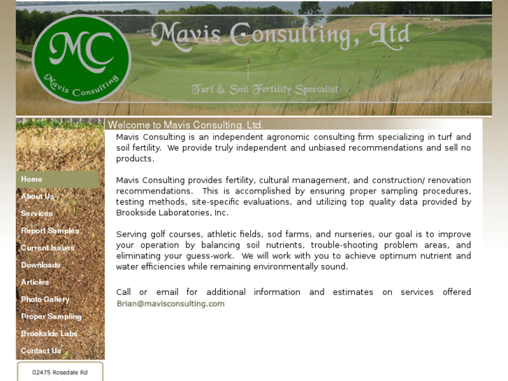 www.mavisconsulting.com