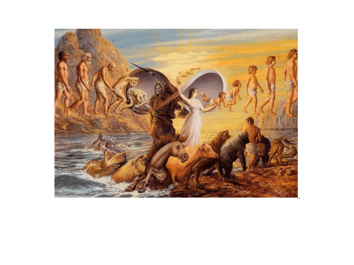 www.psychedelics.org