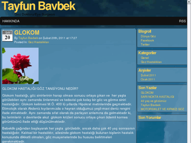 www.tayfunbavbek.com