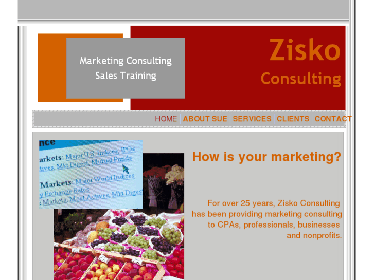 www.ziskoconsulting.com