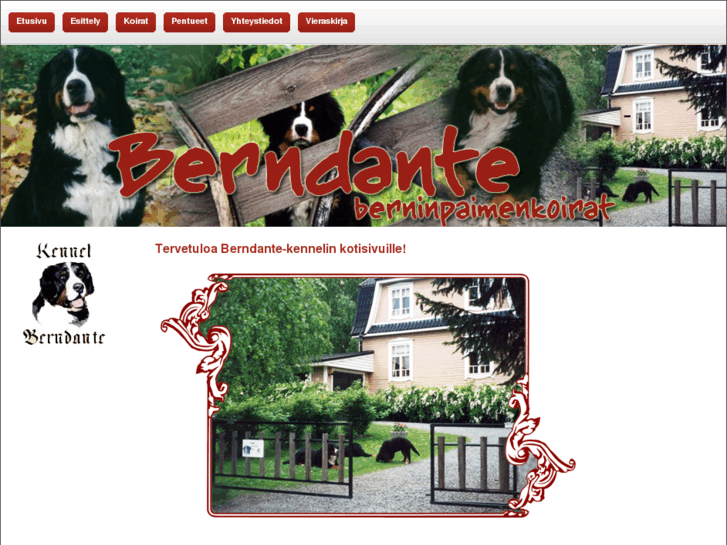 www.berndante.net