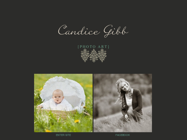 www.candicegibbphotoart.com