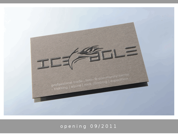 www.iceagle.com