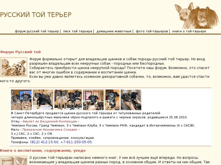 www.toy-terrier.info