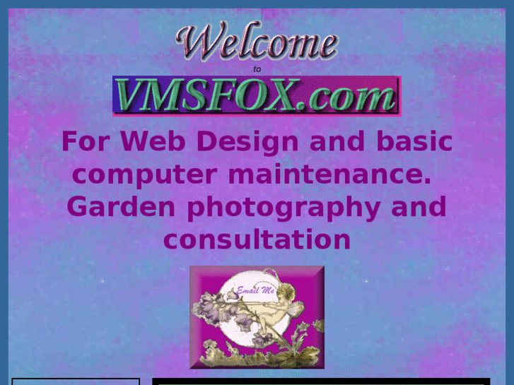 www.vmsfox.com