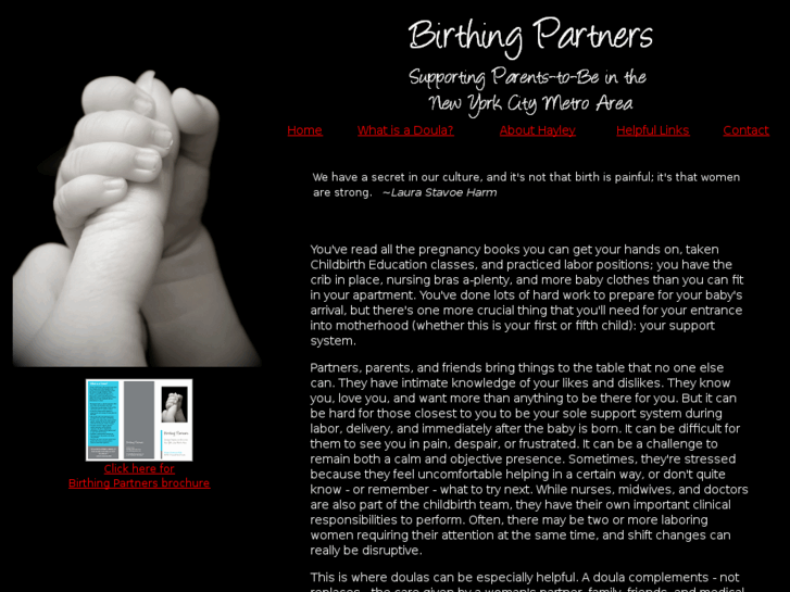 www.birthing-partners.com