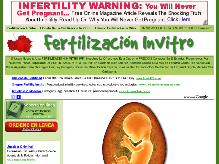 www.fertilizacioninvitro.org