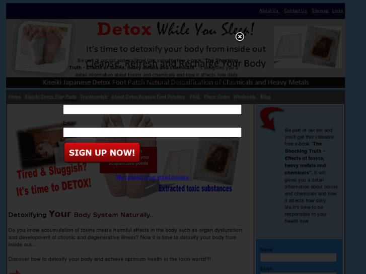 www.kiseiki-detox-pad.com