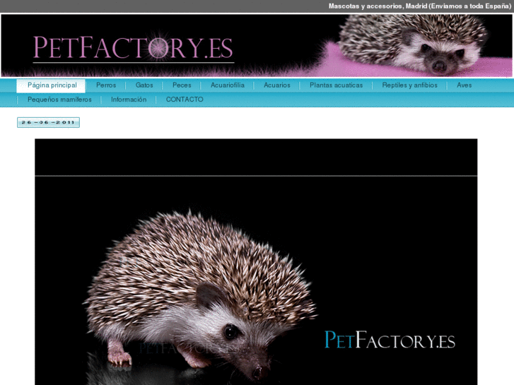 www.petfactory.es