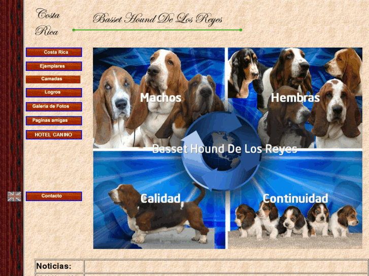 www.bassethoundcr.com