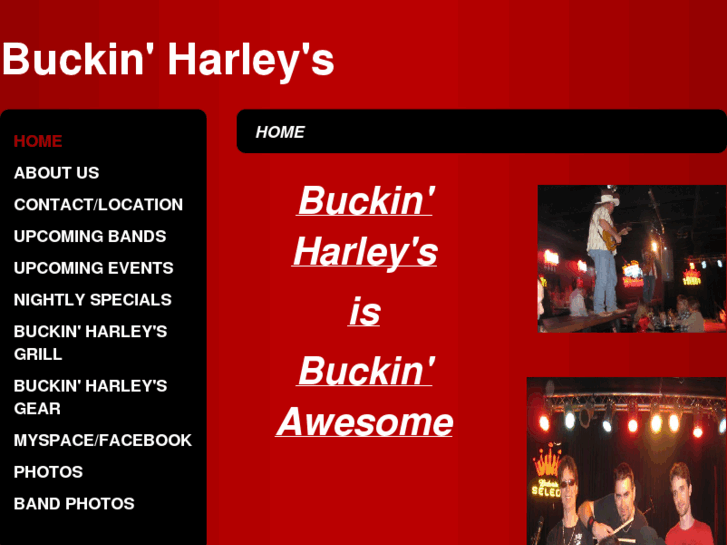 www.buckinharleys.com