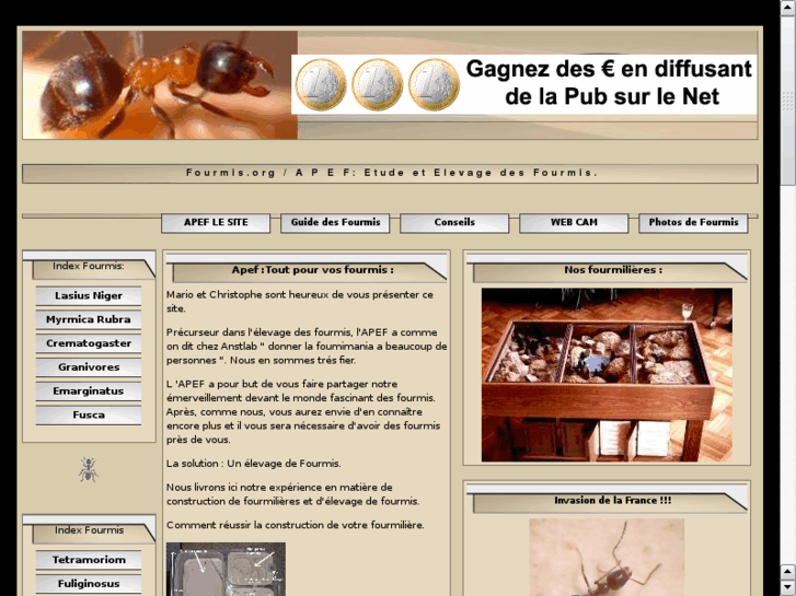 www.fourmis.org