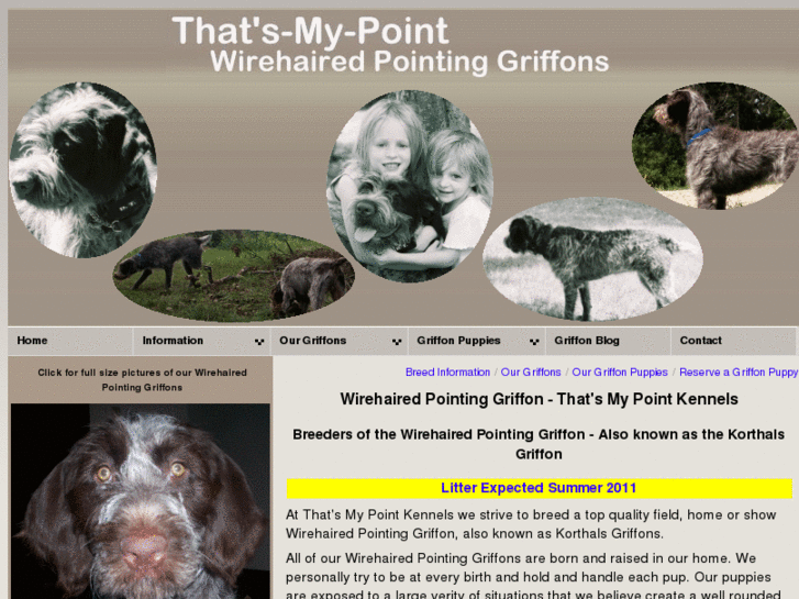 www.tmpkennels.com