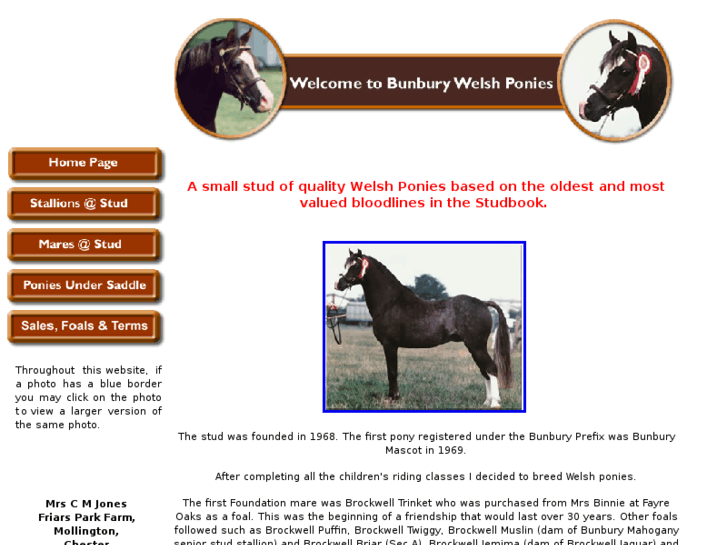 www.bunbury-welshponies.com