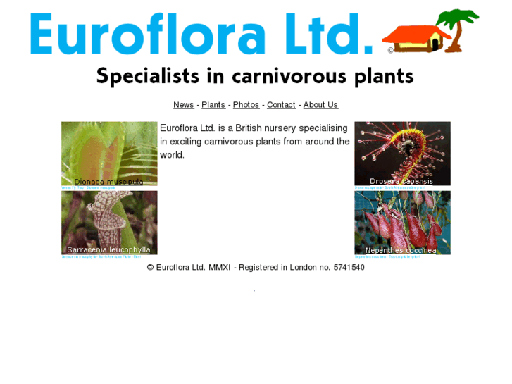 www.euroflora.co.uk