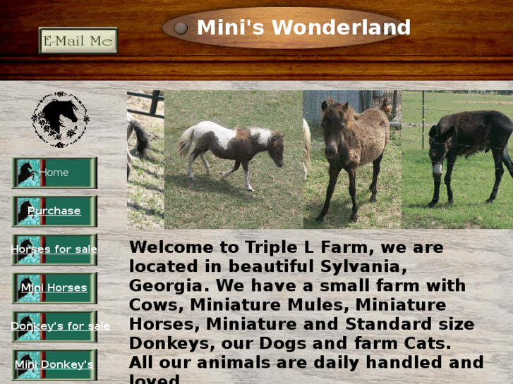 www.miniswonderland.com