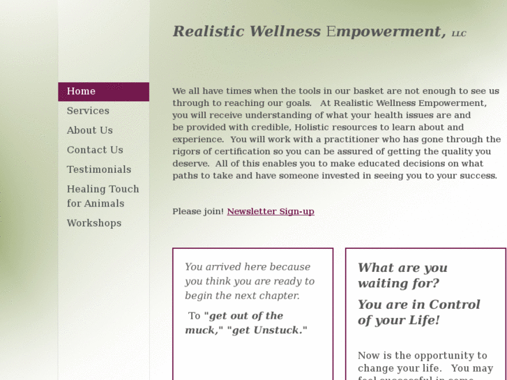 www.realistic-wellness.com