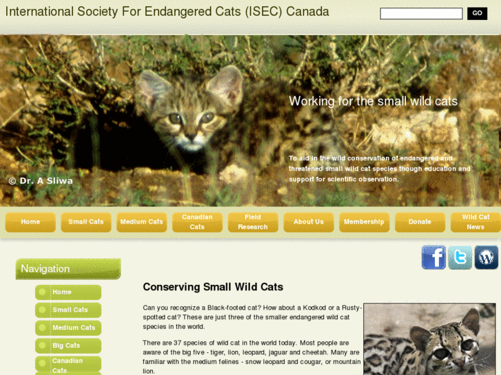 www.wildcatconservation.org