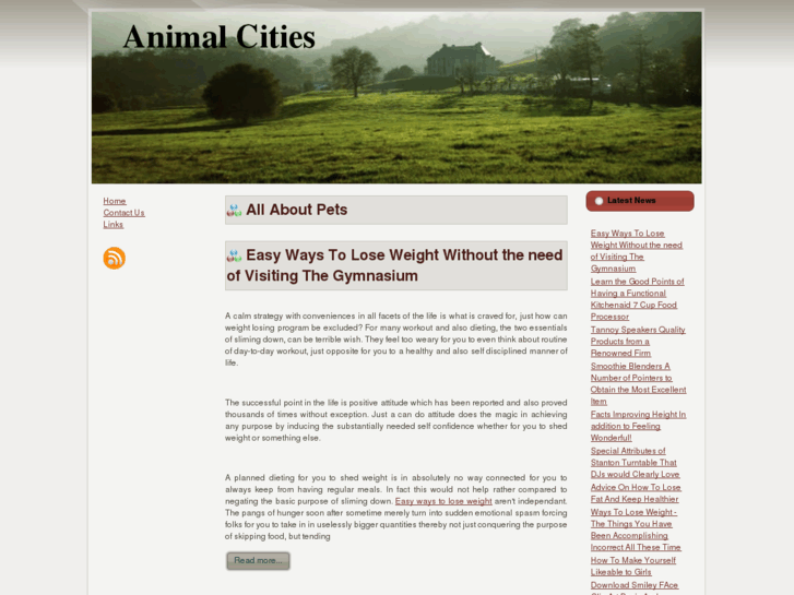 www.animalcities.com