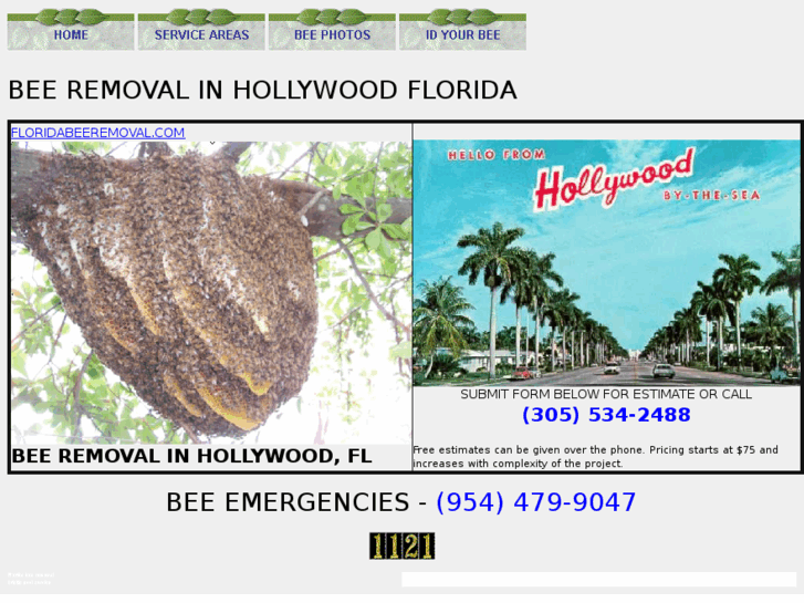 www.beeremovalinhollywoodflorida.com