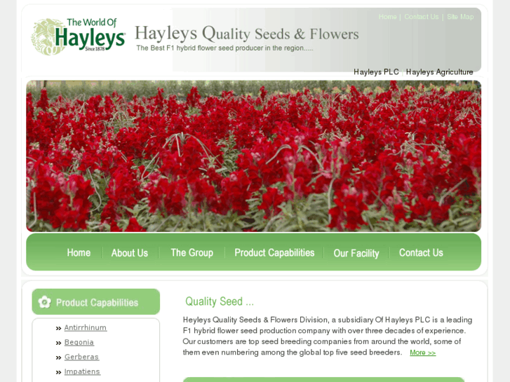 www.hayleysqualityseeds.com